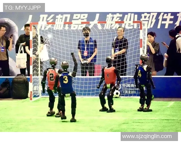 足球明星挑战拳击游戏展现全新运动魅力与竞技精神