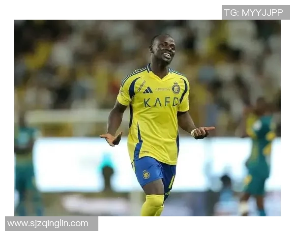 全球足球明星的国籍盘点与影响力分析